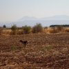 Αγωνες Α.Κ.Ι 18/6/2017